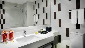 deluxe-room-bathroom