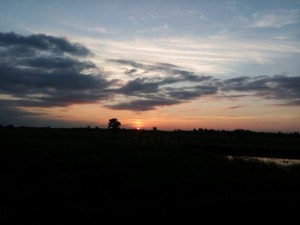 l_47939733d9d71c7b74bc9cdb31dec9c4